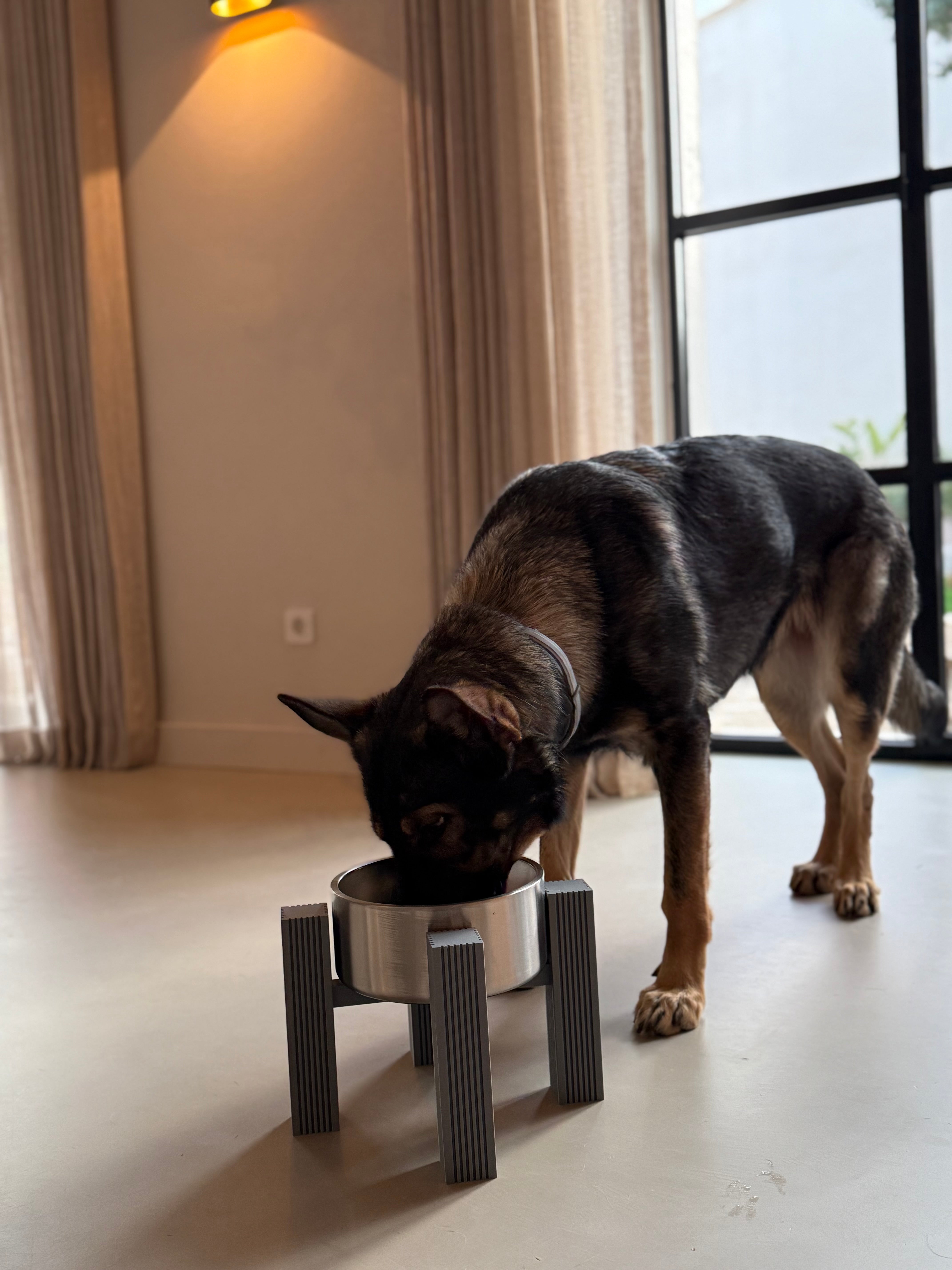 Formada3D — Square Fluted Stand Dog Eating Front Close